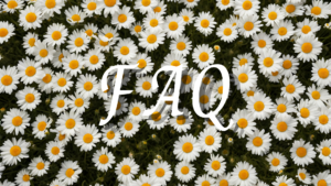 白いまーがっれっとのお花畑にFAQの文字が浮かんでいる